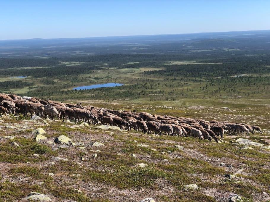 Viihtyisae Moekki Riekkojen Mailla Hetassa Vila Enontekiö Exterior foto