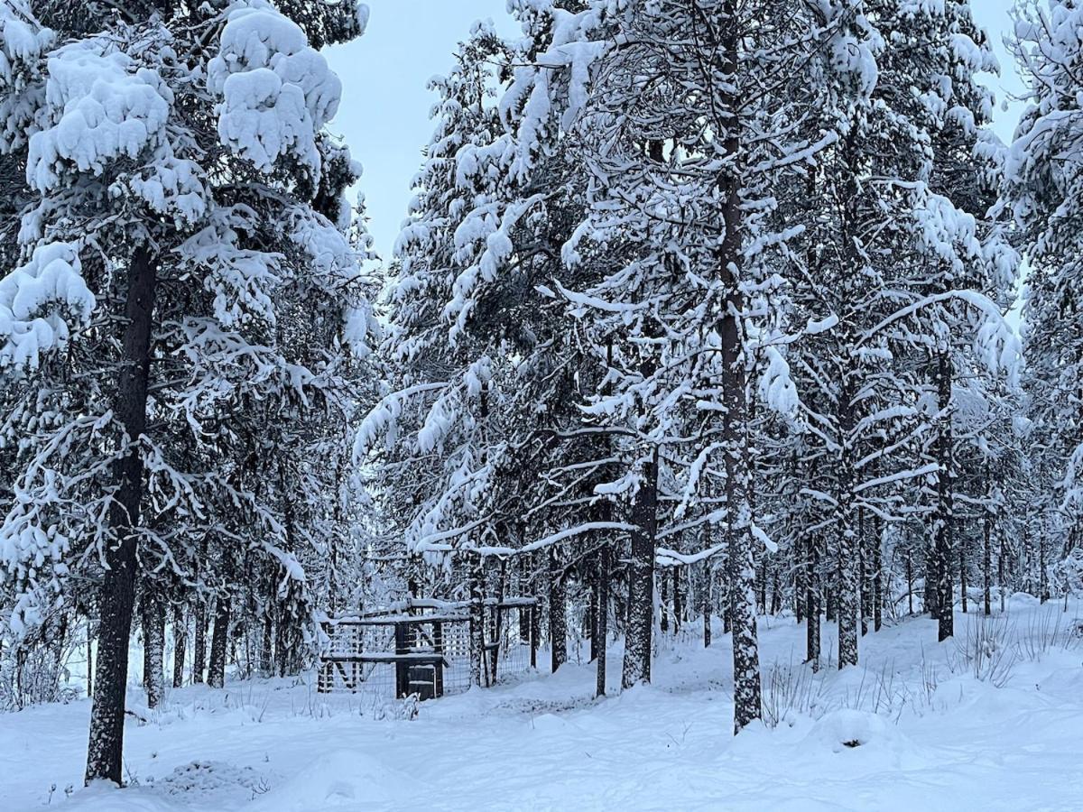 Viihtyisae Moekki Riekkojen Mailla Hetassa Vila Enontekiö Exterior foto